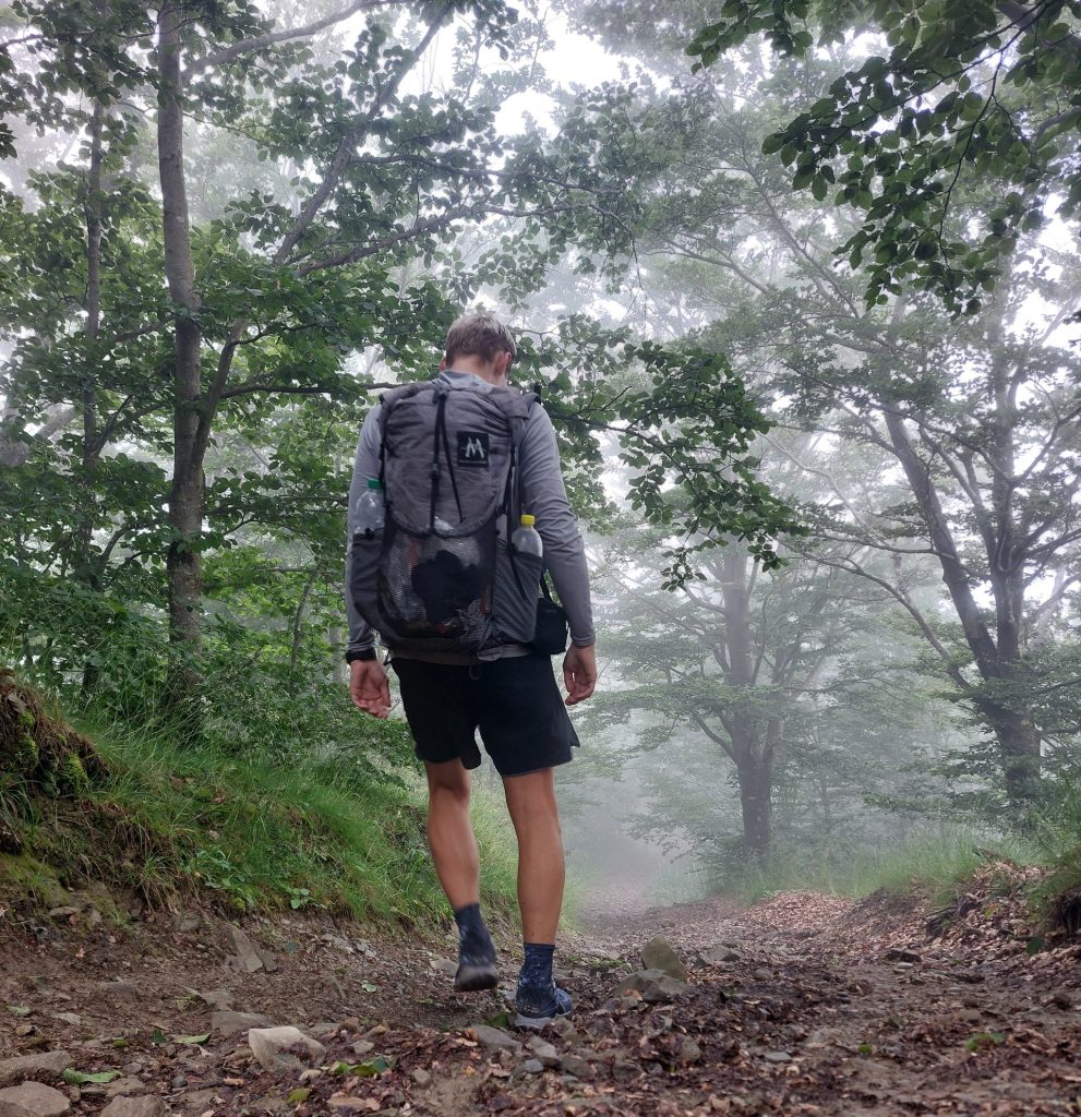 Mystischer, nebliger Wald auf der GEA