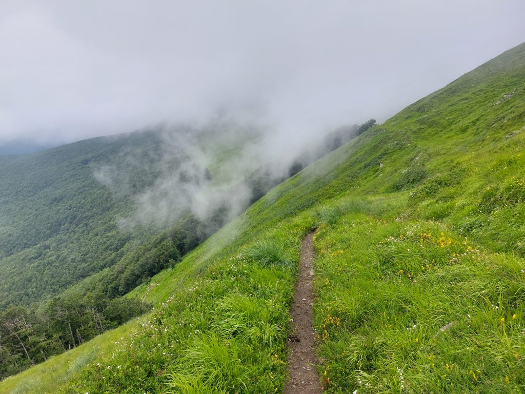 Oberhalb der Baumgrenze auf der GEA